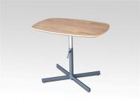 Lifting Table  T-3040